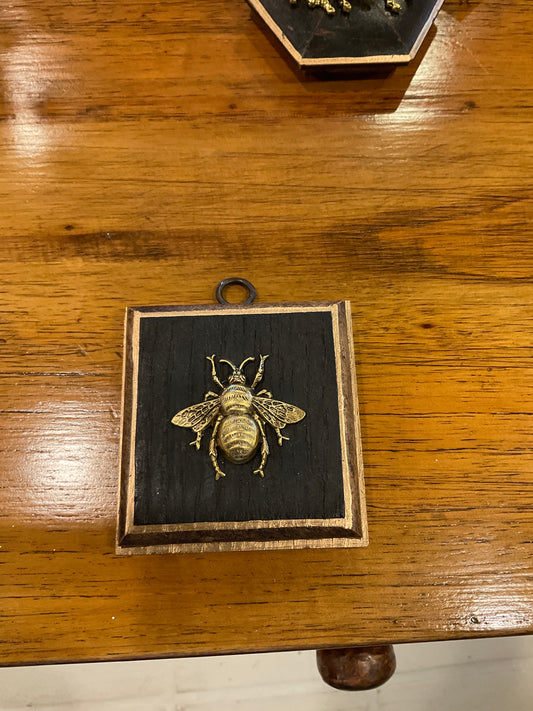 Museum Bee