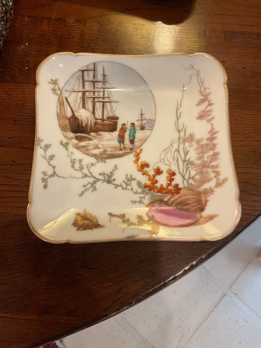Dish