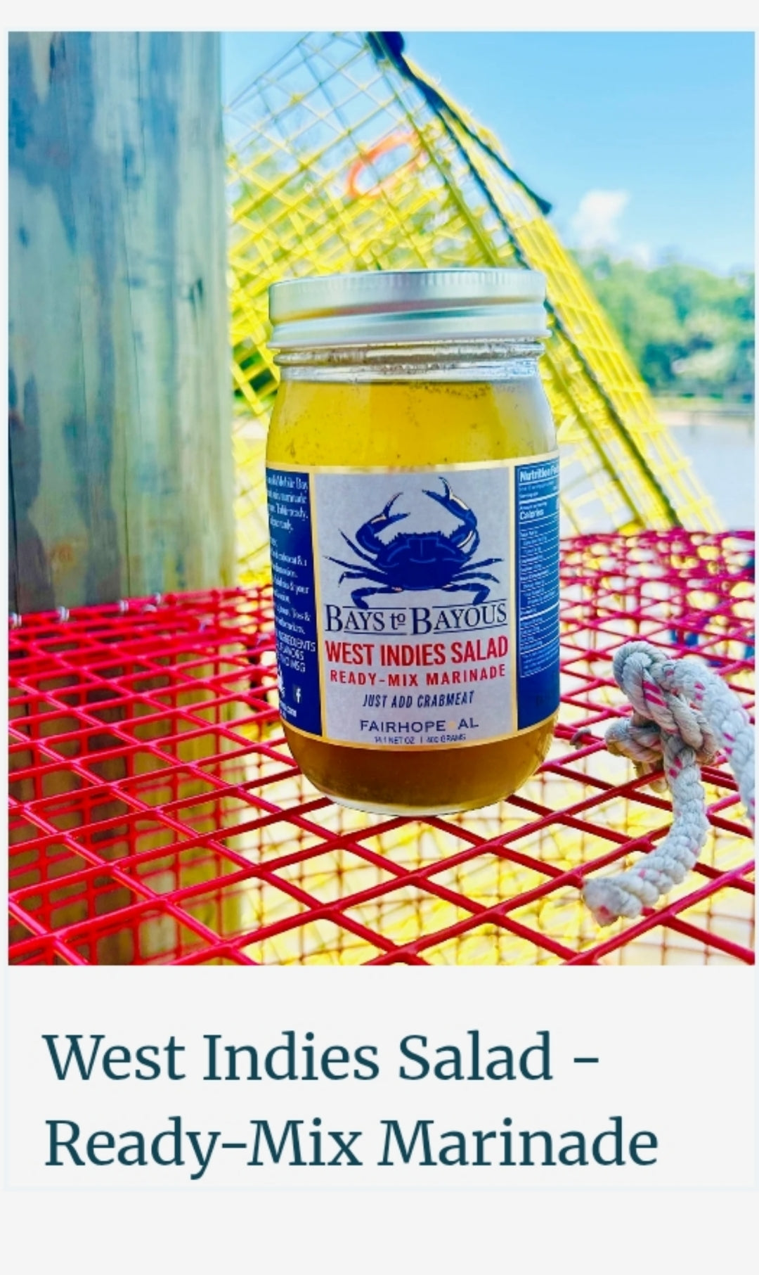 West Indies marinade