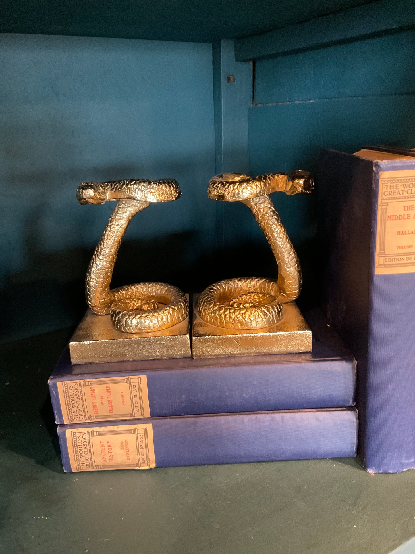 Snake brass bookends