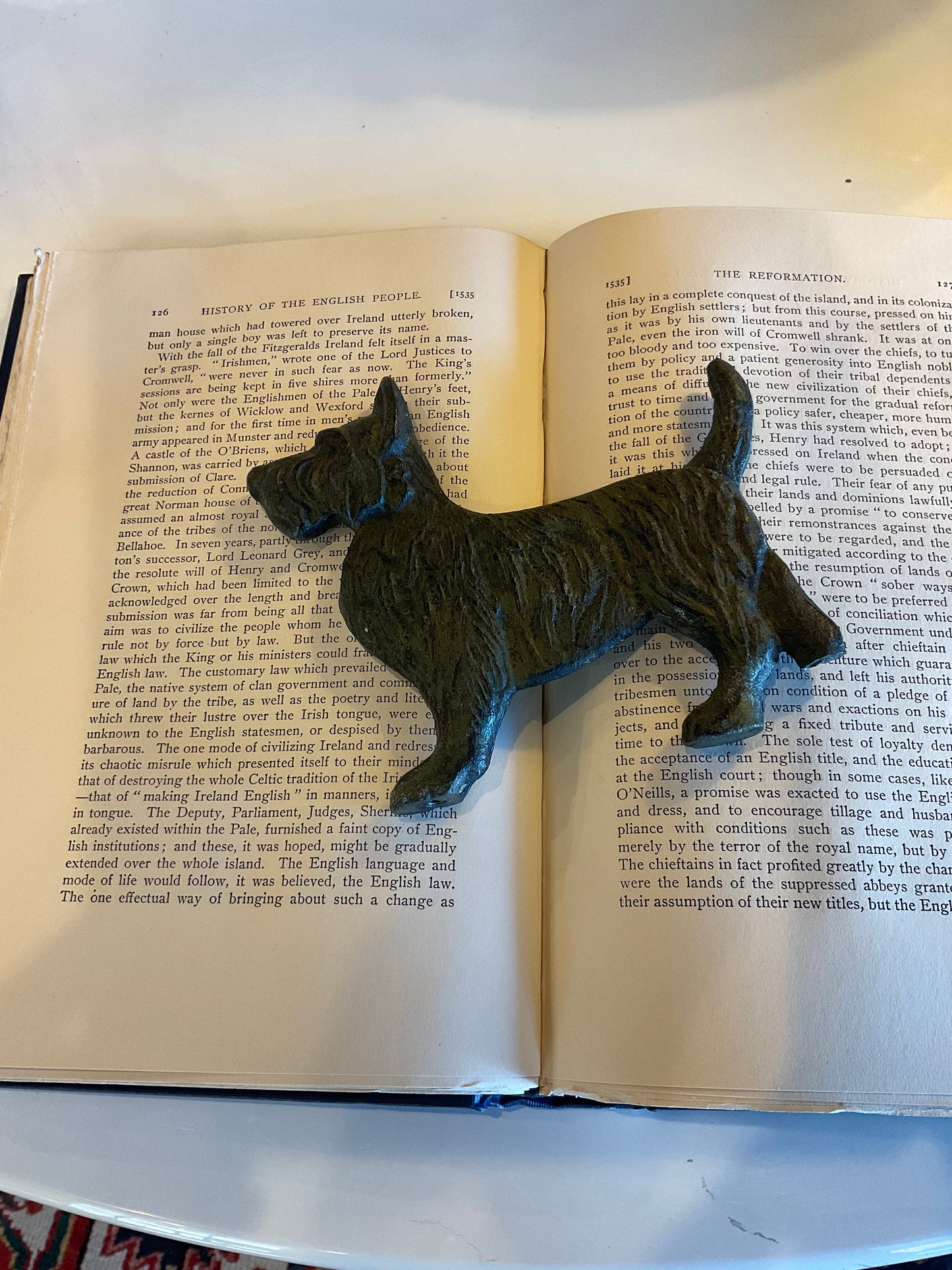 Dog